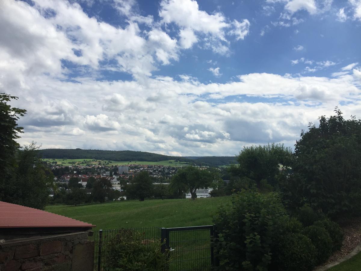 Ferienwohnung Am Galgenberg Michelstadt Zewnętrze zdjęcie